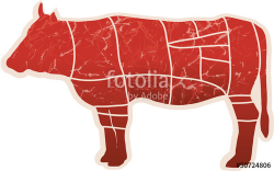Vector Illustration of a Porterhouse Steak Cut
