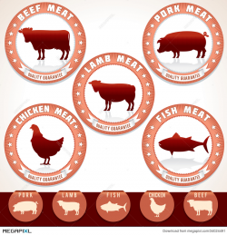 Meat Labels. Pork, Beef, Chicken, Lamb, Tuna Illustration 34024491 ...