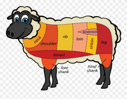 Cuts Meat Sheep Tips - Cuts Of Meat For Sheep Clipart ...
