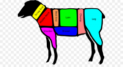 Sheep Cartoon clipart - Sheep, Meat, Beef, transparent clip art