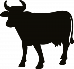 Beef Silhouette at GetDrawings.com | Free for personal use Beef ...