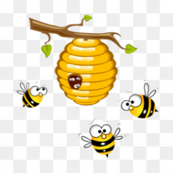 Honey bee Varroa destructor Insect - Cartoon Beehive png download ...