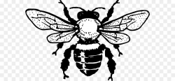European dark bee Honey bee Clip art - Bee Silhouette Cliparts png ...