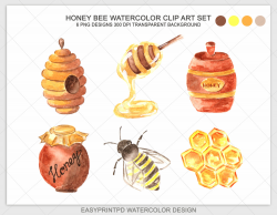 Watercolor Honey Clipart Honey Clip Art Bee Watercolor