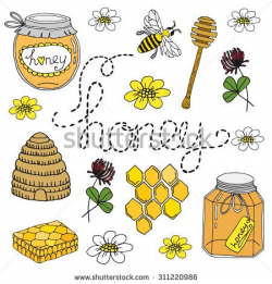 10 best Bee images on Pinterest | Beekeeping, Bees and Butterflies