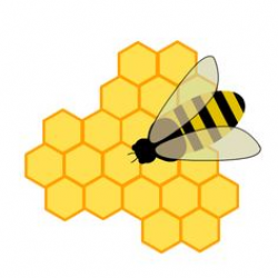 Hexagon clipart bee home - Pencil and in color hexagon clipart bee home