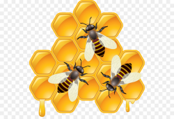 Bee Background clipart - Bee, Honeycomb, Beehive ...
