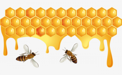 Golden Honeycomb, Honey, Honeycomb, Bee PNG Image and Clipart for ...