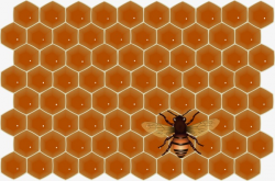 Honeycomb, Bee, Collecting Nectar, Fly PNG Image and Clipart for ...