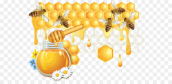 Honey bee Honeycomb - Bees and honey png download - 600*425 - Free ...