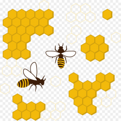 Bee Background clipart - Beehive, Honeycomb, Illustration ...