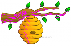 How to Draw a Beehive Clipart