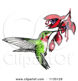 Hummingbird Drawing Clip Art at GetDrawings.com | Free for personal ...