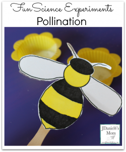 Fun Science Experiments- Pollination Experiment
