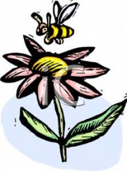 18 best pollinators images on Pinterest | Bees, Butterflies and Clip art