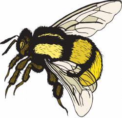Bumble bee vector bee clipart 3 - Clip Art Library