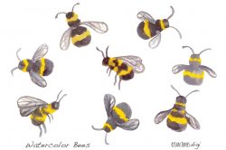 Watercolor Bees ~ Illustrations ~ Creative Market