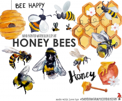 Honey bees watercolor clipart ~ Illustrations ~ Creative Market