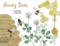Watercolor Honey Bees ~ Illustrations ~ Creative Market