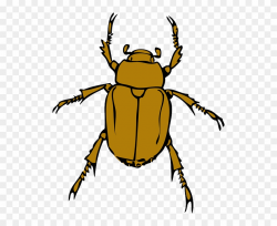 Cartoon, Bugs, Bug, Insect, Animal, Beetle, Insects - Beetle ...
