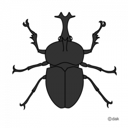 76+ Beetle Clip Art | ClipartLook