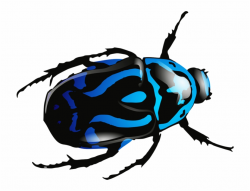 Blue Beetle Png Image - Beetle Clip Art Free PNG Images ...
