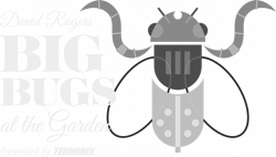 David Rogers' Big Bugs at the Garden | Terminix