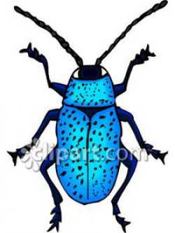 A Bright Blue Beetle - Royalty Free Clipart Picture