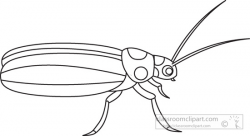 Animals Clipart- cucumber-beetle-insects-black-white-outline-939 ...