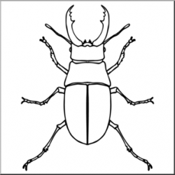 Clip Art: Insects: Stag Beetle B&W I abcteach.com | abcteach