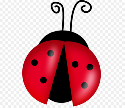 Cartoon Ladybird Drawing Clip art - Free Ladybug Cliparts png ...