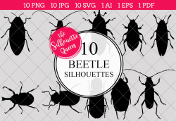 Beetle Silhouette Clipart Clip Art (AI, EPS, SVGs, JPGs, PNGs, PDF ...