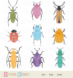 Bugs Clip Art Set-colorful bugs beetles insects zoological