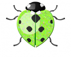 110 best bugs life images on Pinterest | Insects, Ladybugs and Bugs