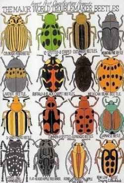 E Check this out -- cool bugs, this website has a ton of cool ...