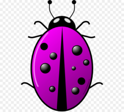 Beetle Ladybird Clip art - Surveillance Camera Clipart png download ...