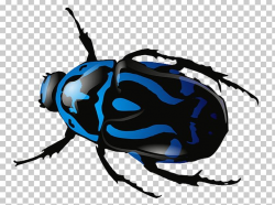 Beetle Computer Icons PNG, Clipart, Animals, Arthropod ...
