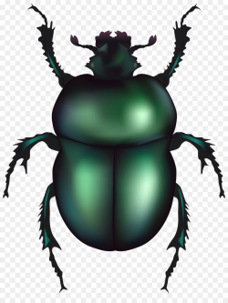 Volkswagen Beetle Dung beetle Clip art - insect png download - 6101 ...