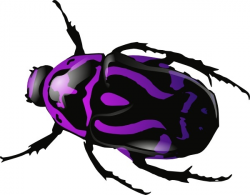 Purple Beetle clip art Free vector in Open office drawing svg ( .svg ...
