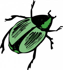 Shiny Green Beetle Clip Art at Clker.com - vector clip art online ...