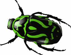 Green Beetle Clip Art at Clker.com - vector clip art online, royalty ...