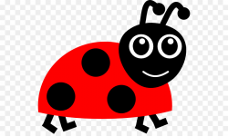 Beetle Ladybird Drawing Clip art - Ladybug Cartoon Images png ...
