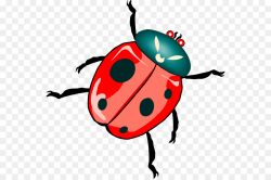 Beetle Ladybird Free content Clip art - Dead Insects Cliparts png ...