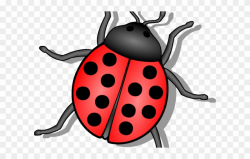Beetle Clipart Animated - Lady Bug - Png Download (#1831258 ...