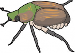 Search Results for beetles - Clip Art - Pictures - Graphics ...
