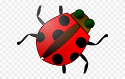 Insect Clipart Kid Png - Bug Clip Art Transparent Png ...