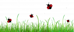 lady-beetle-clipart-border-16 - Chesterbrook Academy