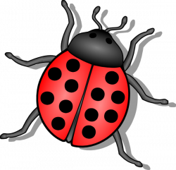 Lady Bug Clip Art at Clker.com - vector clip art online, royalty ...