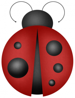 75 best Ladybug images on Pinterest | Lady bugs, Ladybugs and Clip art