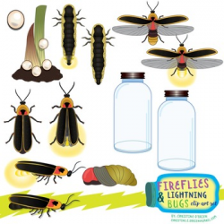 Firefly and Lightning Bugs Life Cycle Clip Art Set | TpT